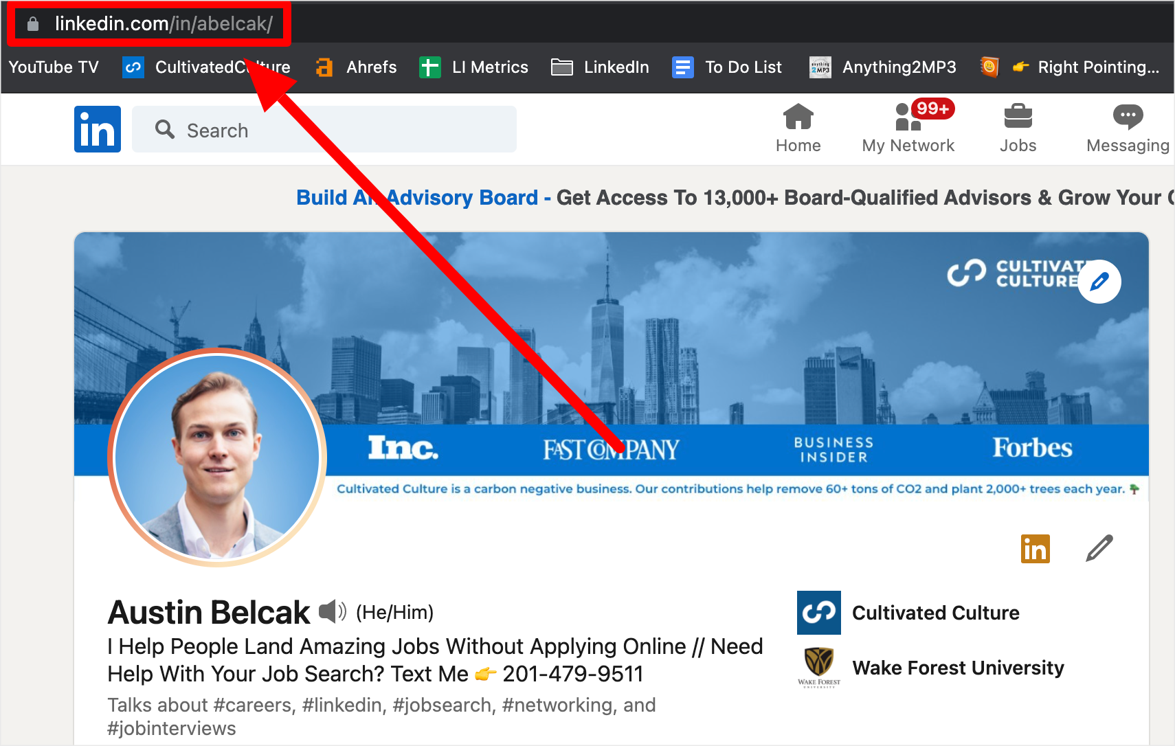 Example of LinkedIn URL